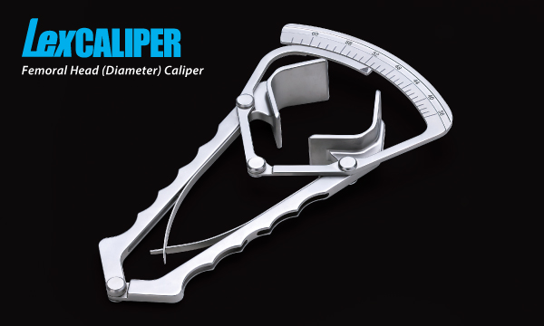 LexCALIPER